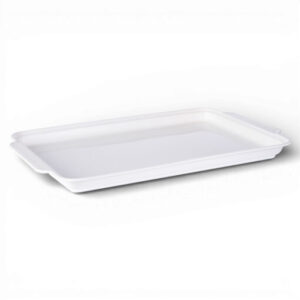 Tray (H4.5)